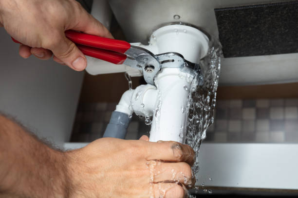 Best Mold removal after water damage  in Alanes Ridge, CA