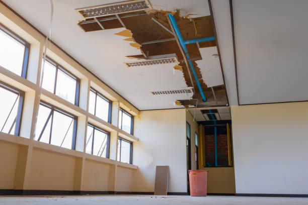 Best Flood restoration services  in Alanes Ridge, CA