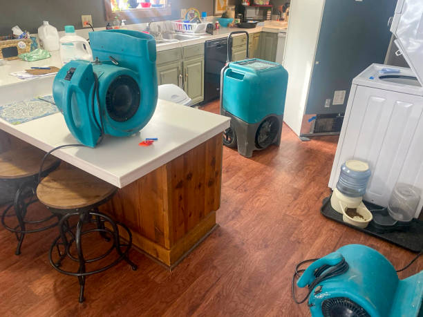 Best Water damage restoration cost  in Alanes Ridge, CA