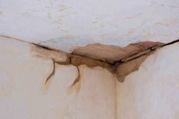 Best Mold removal after water damage  in Alanes Ridge, CA