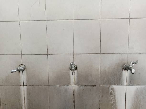 Best Flood damage cleanup  in Alanes Ridge, CA
