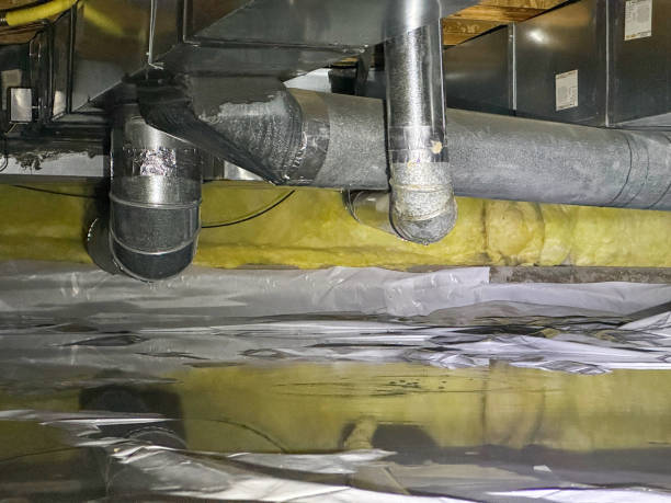 Best Water damage contractors near me  in Alanes Ridge, CA