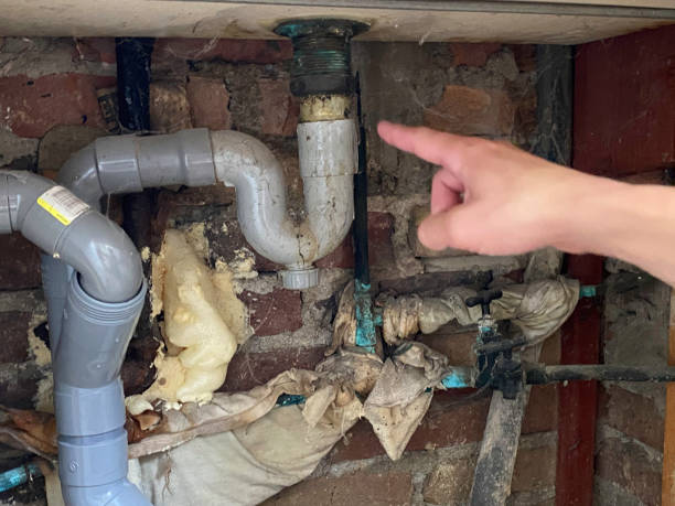 Best Carpet water damage restoration  in Alanes Ridge, CA